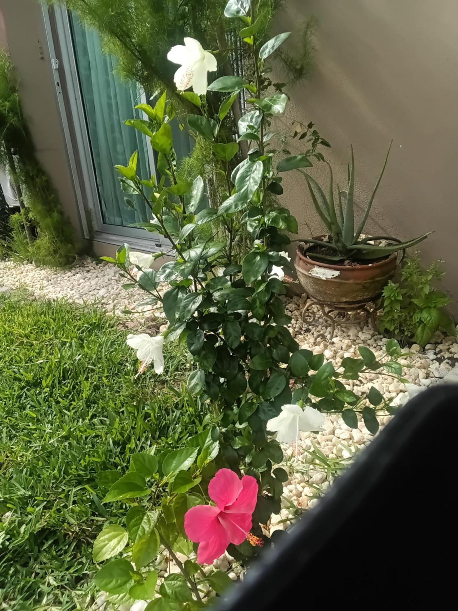 Maison Katia Abidjan Luaran gambar